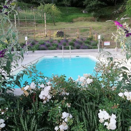 Alle Vignole Bed & Breakfast Coreglia Antelminelli Exterior foto