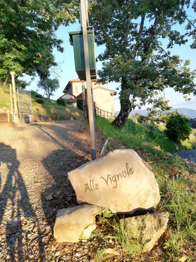 Alle Vignole Bed & Breakfast Coreglia Antelminelli Exterior foto
