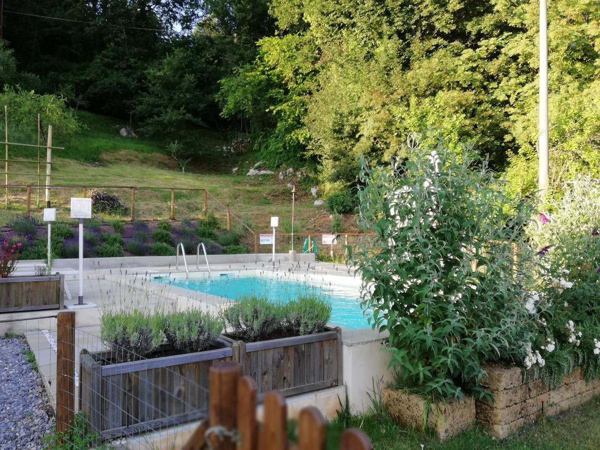 Alle Vignole Bed & Breakfast Coreglia Antelminelli Exterior foto